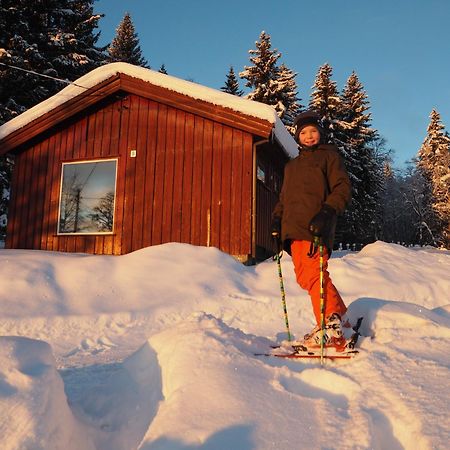 Cabin With Great View Close To Town And Ski Area Lillehammer Exterior photo
